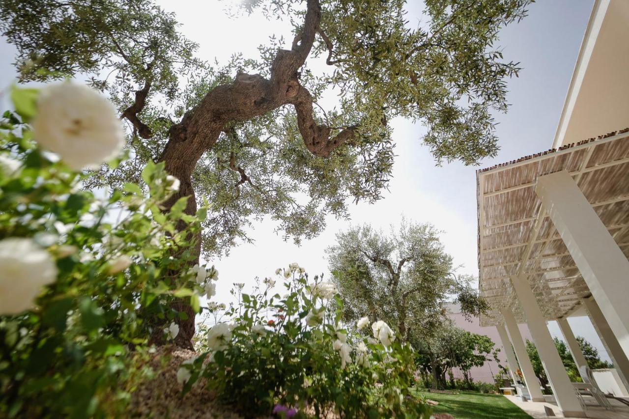 Almasol - Charme Experience Bed and Breakfast Castellana Grotte Εξωτερικό φωτογραφία